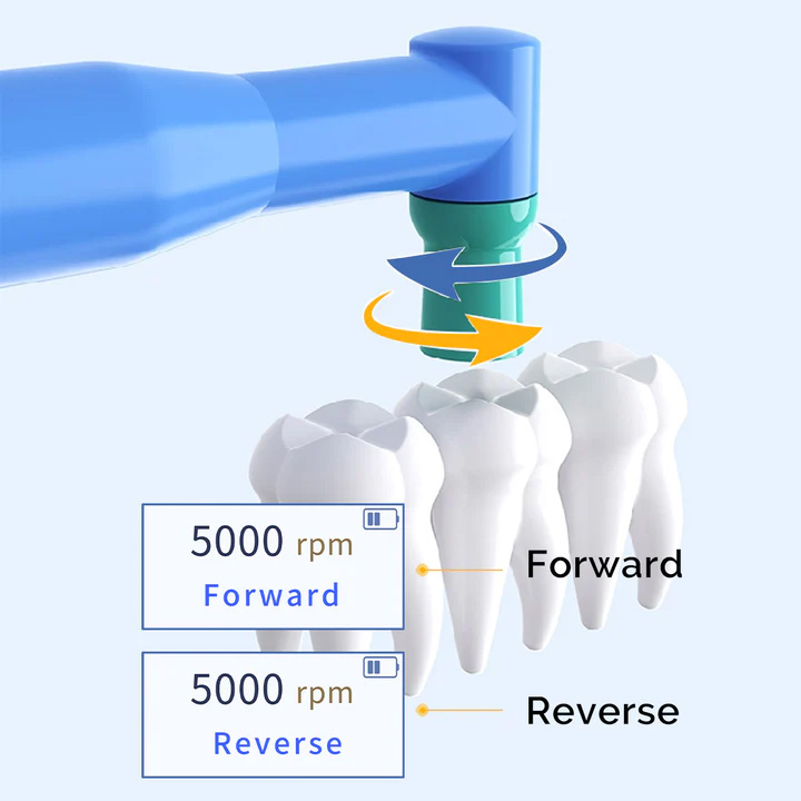 Betterway Dental Hygiene Prophy Handpiece 10 Speed Settings